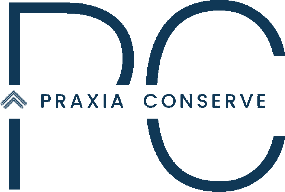 logo-1